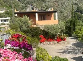 Casa Pirrera Asinelli