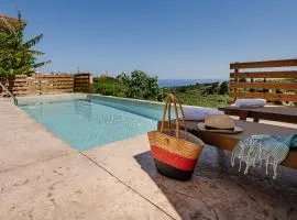 Vozas Villas - Traditional Houses with Great View