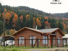 Prana sur neltume