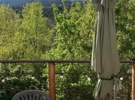 La Canopée
