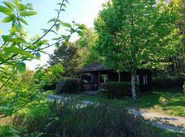 Les chalets de C&eacute;leste，位于Vaulry的木屋