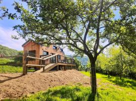 Tiny House Le Petit Nid du Pré，位于Saint-Rémy的酒店