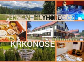Pension Bílý Hořec，位于弗尔赫拉比的酒店