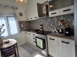 Lovely House