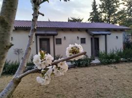 דצ'א - Дача - Dacha，位于El-Rom的酒店
