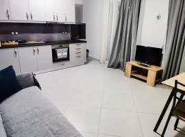 Beautiful home for holidays