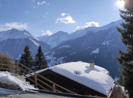 Chalet Airone - Saint Luc，位于圣吕克的酒店