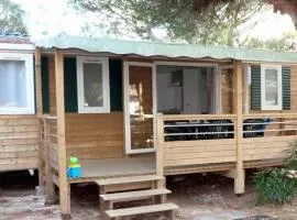Camping 4 étoiles - eebaeh