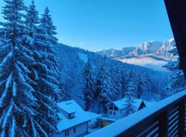 Vero Residence Predeal，位于普雷代亚尔的低价酒店