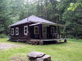 Lovely Log Cabin Rental in Harveys Lake Close to Scranton, Pennsylvania，位于Harveys Lake的酒店
