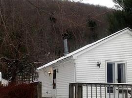 Spacious Cabin Rental next to Balsam Mountain in Upstate New York，位于Big Indian的酒店