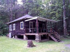 Beautiful Log Cabin Rental in Harveys Lake near Back Mountain, Pennsylvania，位于Harveys Lake的酒店