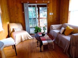 Peaceful Pet-Friendly Cabin Rental in San Antonio Countryside, Texas，位于伯尼的酒店