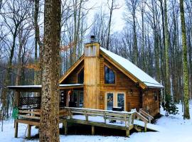Secluded Cabin Rental near Watoga State Park in West Virginia，位于Hico的酒店