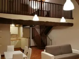 Via Pepoli Apartments