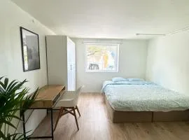 Urban Treehouse in city centre