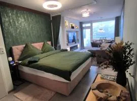 Harz-High-End-Ferienwohnung-Nicholas