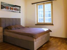 Apartment WG Zimmer Komplett Ausgestattet，位于Buchs的酒店