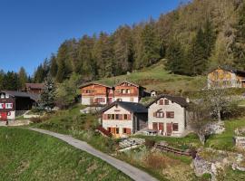 Tiny House facing the Alps - Ski in, Ski out，位于安塞热的酒店