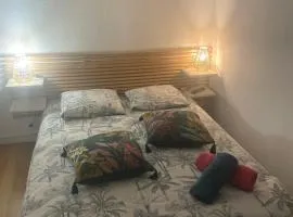 Chambre chez l habitant 2 nuit maximum !! Une 2 eme chambre possible