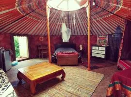 Yourte Namaste Homestay
