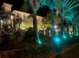 Villa Douro Hotel，位于蒂拉登特斯的酒店