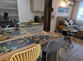 Business et Relax Studio à Pointe-à-Pitre，位于皮特尔角城的酒店