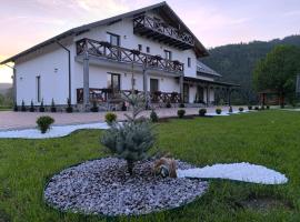 Pensiunea Turistică La Tei，位于Bistricioara的酒店