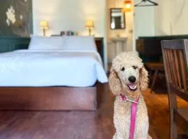 MiraNamin Nest CALACHUCHI Room in Unique Historic Home - Balcony, Rooftop, Garden View, Shared Kitchen, Pet Friendly with a Fee