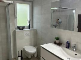 Grande chambre avec salle de bain privé，位于沙泰勒圣但尼的民宿