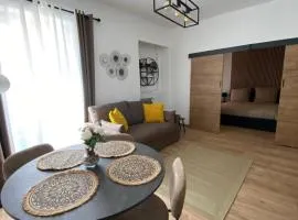 Top Apartment in the Heart of Cannes