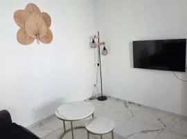Appartement 50m2