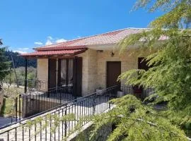 Tsigaridas Mountain Home