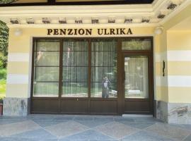 Penzion u Lesního pramene，位于玛丽亚温泉的酒店