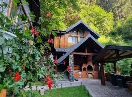 Căbănuța Cocoțată