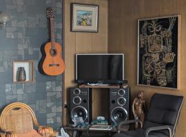 Taisetsu Art Stay，位于上川町的酒店