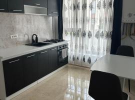 Patris Place，位于Giroc的酒店