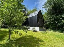 Cabin 16