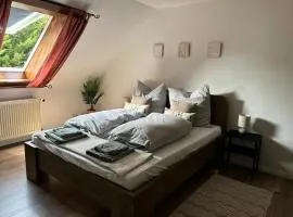 Sky view, Forest Apartments Menzenschwand