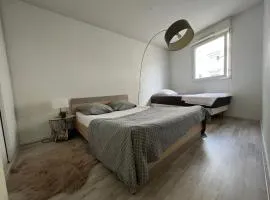 Appartement fonctionnel centre ville
