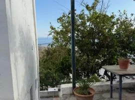 Kariki Green Triantaros Tinos