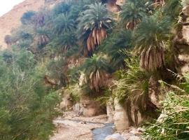 Wadi Bin Hammad Five Stars，位于Jurf ad Darāwīsh的酒店