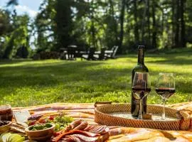 Modern Lodge on 6 acres - 15 mins to Camelback