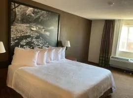 速8科罗拉多斯普林斯机场酒店