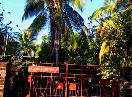 Little Jungle