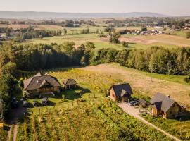 Winnica Nad Źródłem - Domki w winnicy z kominkami i tężniami，位于Sierzawy的酒店