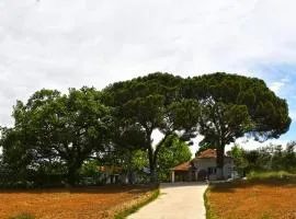 The Ranch of Ancient Ilida