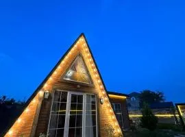 Aframe in Forest & Lake