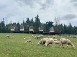 Карпати Плай Village，位于布克维的酒店