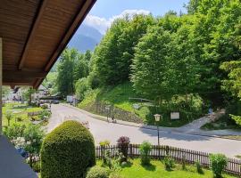 Ferienhaus Am Brücklesbach，位于格赖瑙的酒店